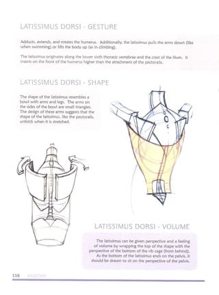 Michael hampton  figure drawing - design and invention