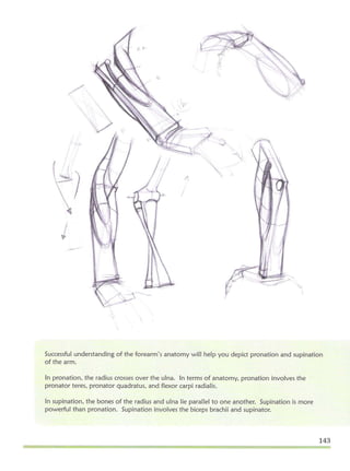 Michael hampton  figure drawing - design and invention