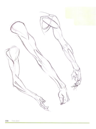 Michael hampton  figure drawing - design and invention