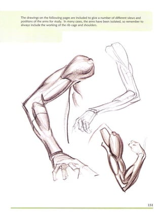 Michael hampton  figure drawing - design and invention