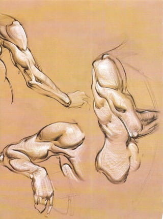 Michael hampton  figure drawing - design and invention