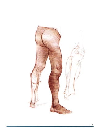 Michael hampton  figure drawing - design and invention