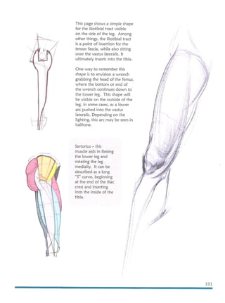 Michael hampton  figure drawing - design and invention