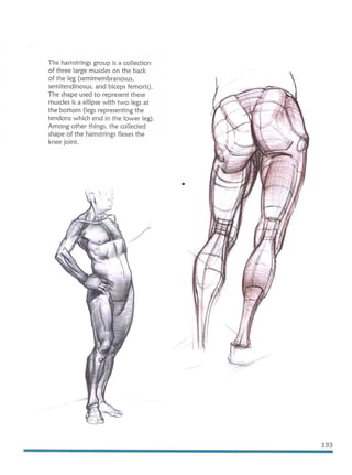 Michael hampton  figure drawing - design and invention