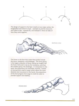 Michael hampton  figure drawing - design and invention