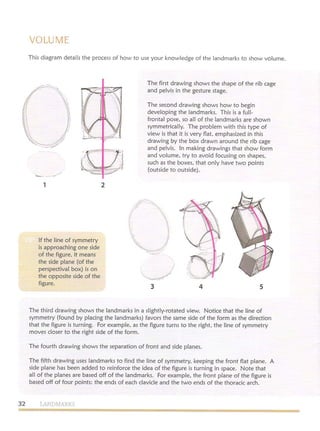 Michael hampton  figure drawing - design and invention
