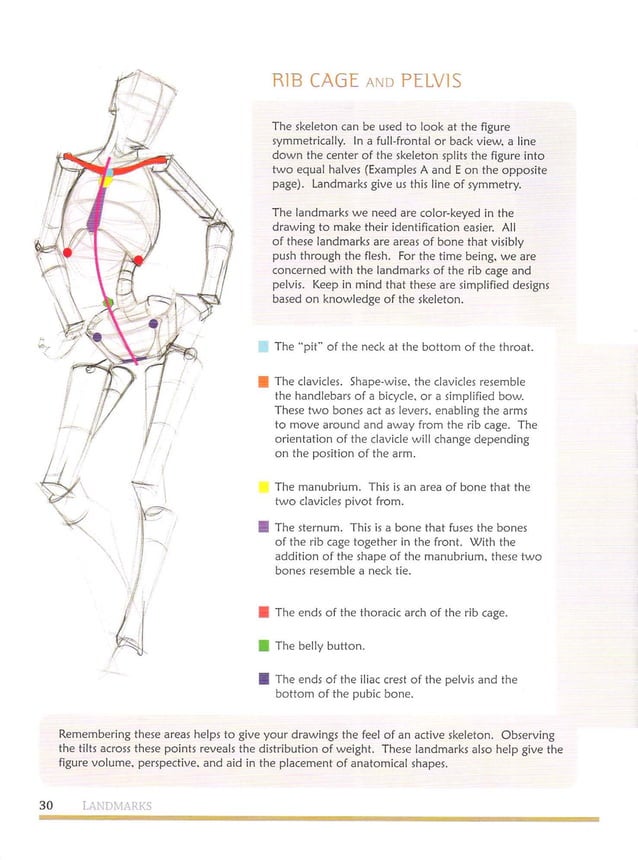 Michael hampton figure drawing design and invention PDF