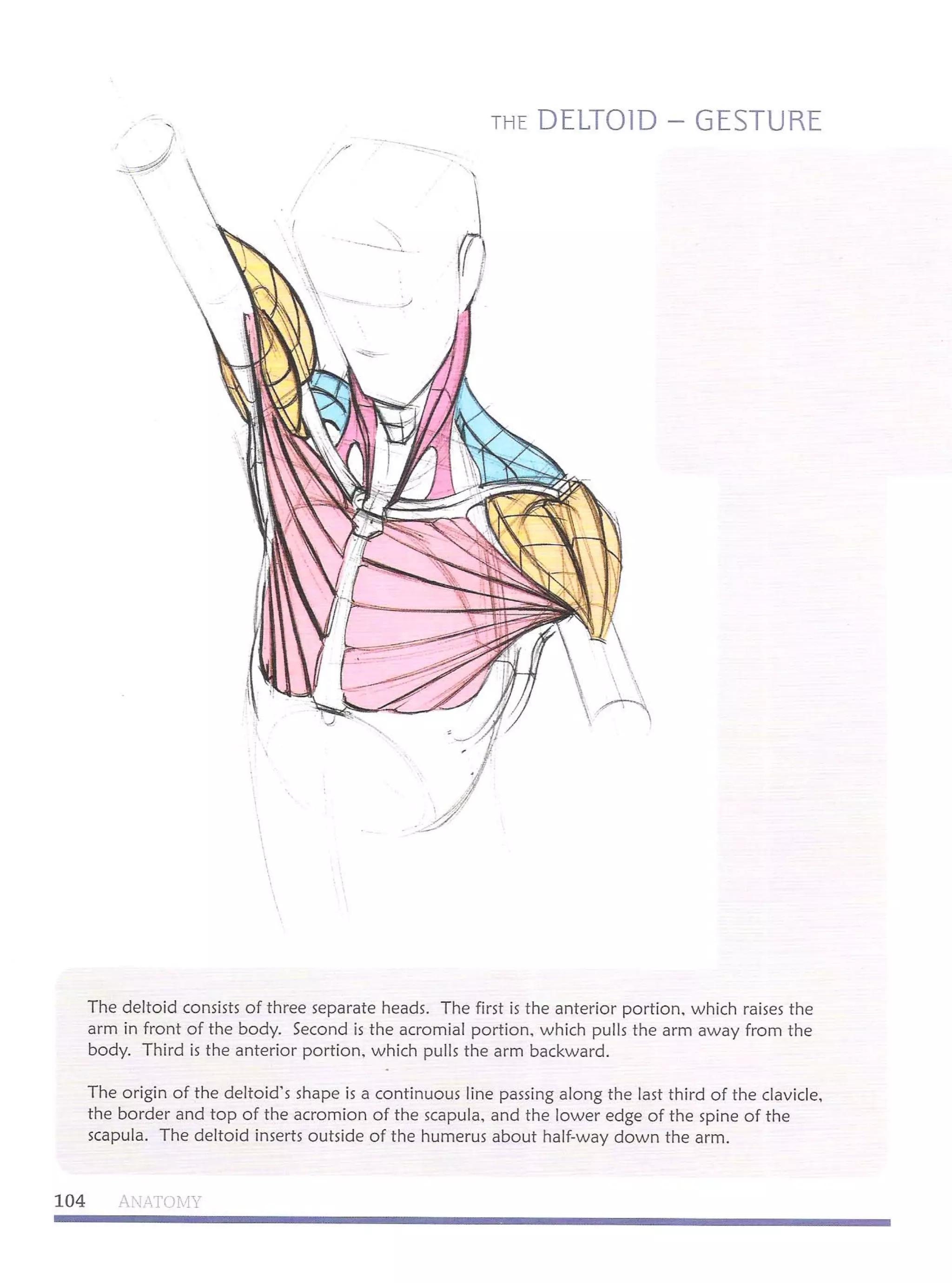 Michael hampton  figure drawing - design and invention 1