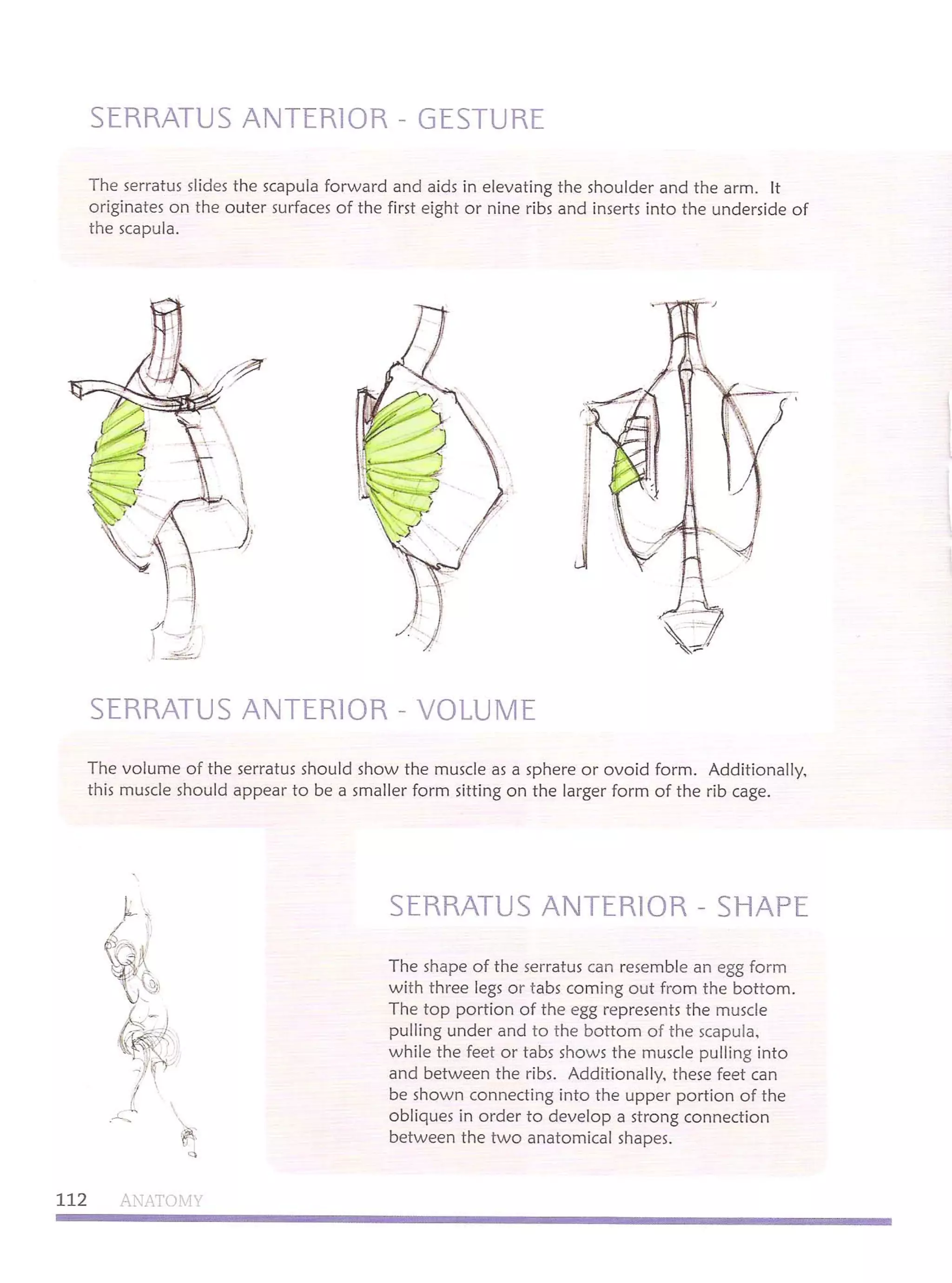 Michael hampton figure drawing - design and invention 1