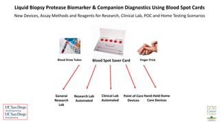 PROTEASE DETECTION ON BLOOD SPOT CARDS FOR FUTURE COMPANION DIAGNOSTICS