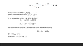 𝐄 + 𝐒 𝐄𝐒 𝐄 + 𝐏
Rate of formation of ES = k1[E][S].
Rate of consumption of ES = k-1[ES] + k2 [ES]
In the steady state, k-1[ES] + k2 [ES] = k1[E][S]
(k-1 + k2) [ES] = k1[E][S]
(k-1 + k2)/k1 = [E][S]/[ES]
The equilibrium constant (Km) is usually called Michaelis constant
Km = (k-1 + k2)/k1
[E] = [E]total - [ES]
Km = ([E]total - [ES]) [S]/[ES]
K1
K_1
K2
 