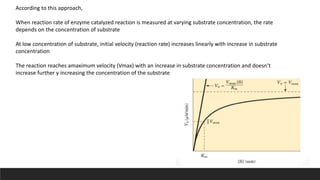 According to this approach,
When reaction rate of enzyme catalyzed reaction is measured at varying substrate concentration, the rate
depends on the concentration of substrate
At low concentration of substrate, initial velocity (reaction rate) increases linearly with increase in substrate
concentration
The reaction reaches amaximum velocity (Vmax) with an increase in substrate concentration and doesn’t
increase further y increasing the concentration of the substrate
 