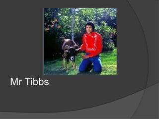 Mr Tibbs
 