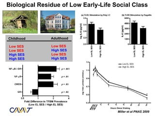 Biological Residue of Low Early-Life Social Class




Childhood      Adulthood

Low SES        Low SES
Low SES        High SES
High SES       Low SES
High SES       High SES




                                      Miller et al PNAS 2009
 