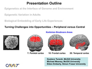 Presentation Outline
Epigenetics at the Interface of Genome and Environment

Epigenetic Variation in Adults

Biological Embedding of Early Life Experiences

Turning Challenges into Opportunities – Peripheral versus Central
                                        Korbinian Brodmann Areas




                   7: Parietal cortex     10: Frontal cortex   20: Temporal cortex

                                        Gustavo Turecki, McGill University
                                        Michael Meaney, McGill University
                                        Eldon Emberly, Simon Fraser University
 