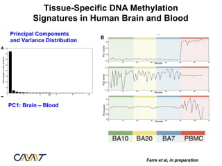 Tissue-Specific DNA Methylation
        Signatures in Human Brain and Blood
Principal Components
and Variance Distribution




PC1: Brain – Blood




                                 Farre et al, in preparation
 