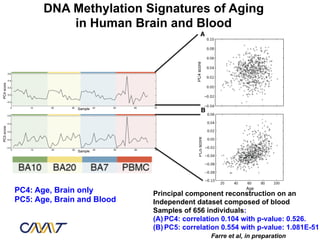DNA Methylation Signatures of Aging
           in Human Brain and Blood




PC4: Age, Brain only        Principal component reconstruction on an
PC5: Age, Brain and Blood   Independent dataset composed of blood
                            Samples of 656 individuals:
                            (A)  PC4: correlation 0.104 with p-value: 0.526.
                            (B)  PC5: correlation 0.554 with p-value: 1.081E-51
                                             Farre et al, in preparation
 
