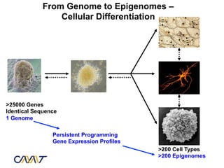 From Genome to Epigenomes –
                Cellular Differentiation




>25000 Genes
Identical Sequence
1 Genome

                Persistent Programming
                Gene Expression Profiles
                                           >200 Cell Types
                                           >200 Epigenomes
 