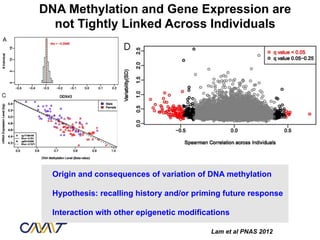DNA Methylation and Gene Expression are
  not Tightly Linked Across Individuals




  Origin and consequences of variation of DNA methylation

  Hypothesis: recalling history and/or priming future response

  Interaction with other epigenetic modifications

                                            Lam et al PNAS 2012
 