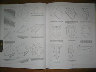 Michael la fosse   advanced origami