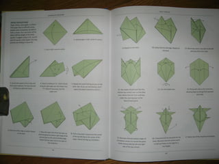 Michael la fosse   advanced origami