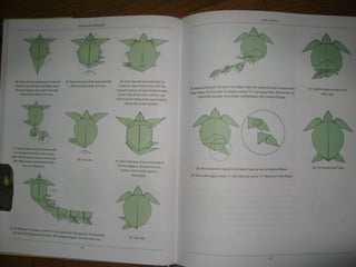 Michael la fosse   advanced origami