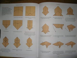 Michael la fosse   advanced origami