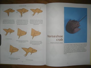 Michael la fosse   advanced origami