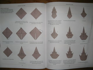 Michael la fosse   advanced origami