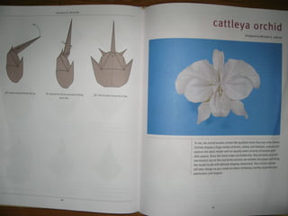 Michael la fosse   advanced origami