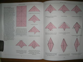 Michael la fosse   advanced origami