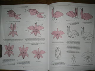 Michael la fosse   advanced origami