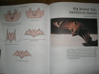 Michael la fosse   advanced origami