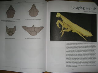 Michael la fosse   advanced origami