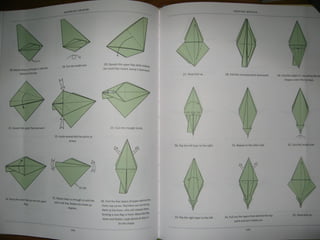 Michael la fosse   advanced origami