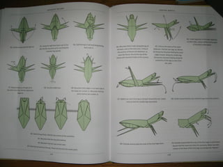 Michael la fosse   advanced origami