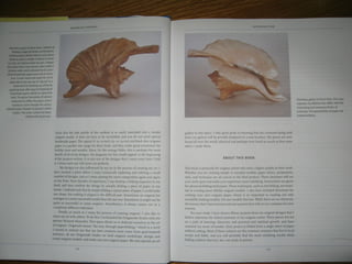 Michael la fosse   advanced origami