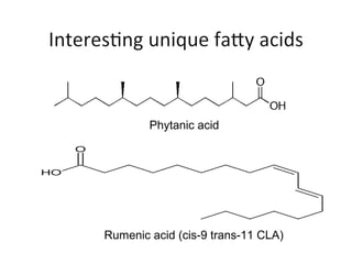 Phytanic acid
Rumenic acid (cis-9 trans-11 CLA)
 