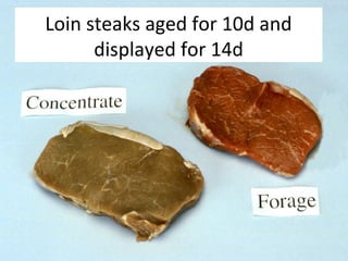 Loin steaks aged for 10d and
displayed for 14d
 