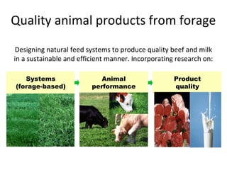 Quality animal products from forage
Designing natural feed systems to produce quality beef and milk
in a sustainable and efficient manner. Incorporating research on:
Product
quality
Animal
performance
Systems
(forage-based)
 