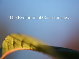 The Evolution of Consciousness
 
