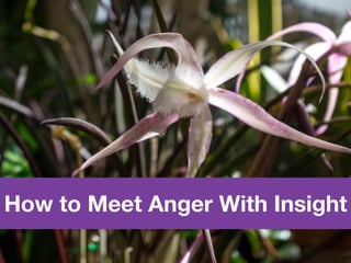 How to Meet Anger With Insight
 