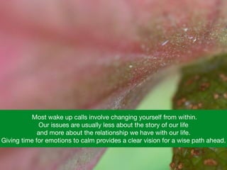  Most wake up calls involve changing yourself from within.  

Our issues are usually less about the story of our life 

and more about the relationship we have with our life.  

Giving time for emotions to calm provides a clear vision for a wise path ahead.
 