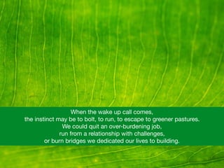 When the wake up call comes, 

the instinct may be to bolt, to run, to escape to greener pastures.  

We could quit an over-burdening job, 

run from a relationship with challenges, 

or burn bridges we dedicated our lives to building.
 