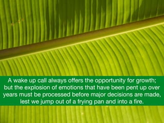 A wake up call always oﬀers the opportunity for growth; 

but the explosion of emotions that have been pent up over
years must be processed before major decisions are made,
lest we jump out of a frying pan and into a ﬁre.
 