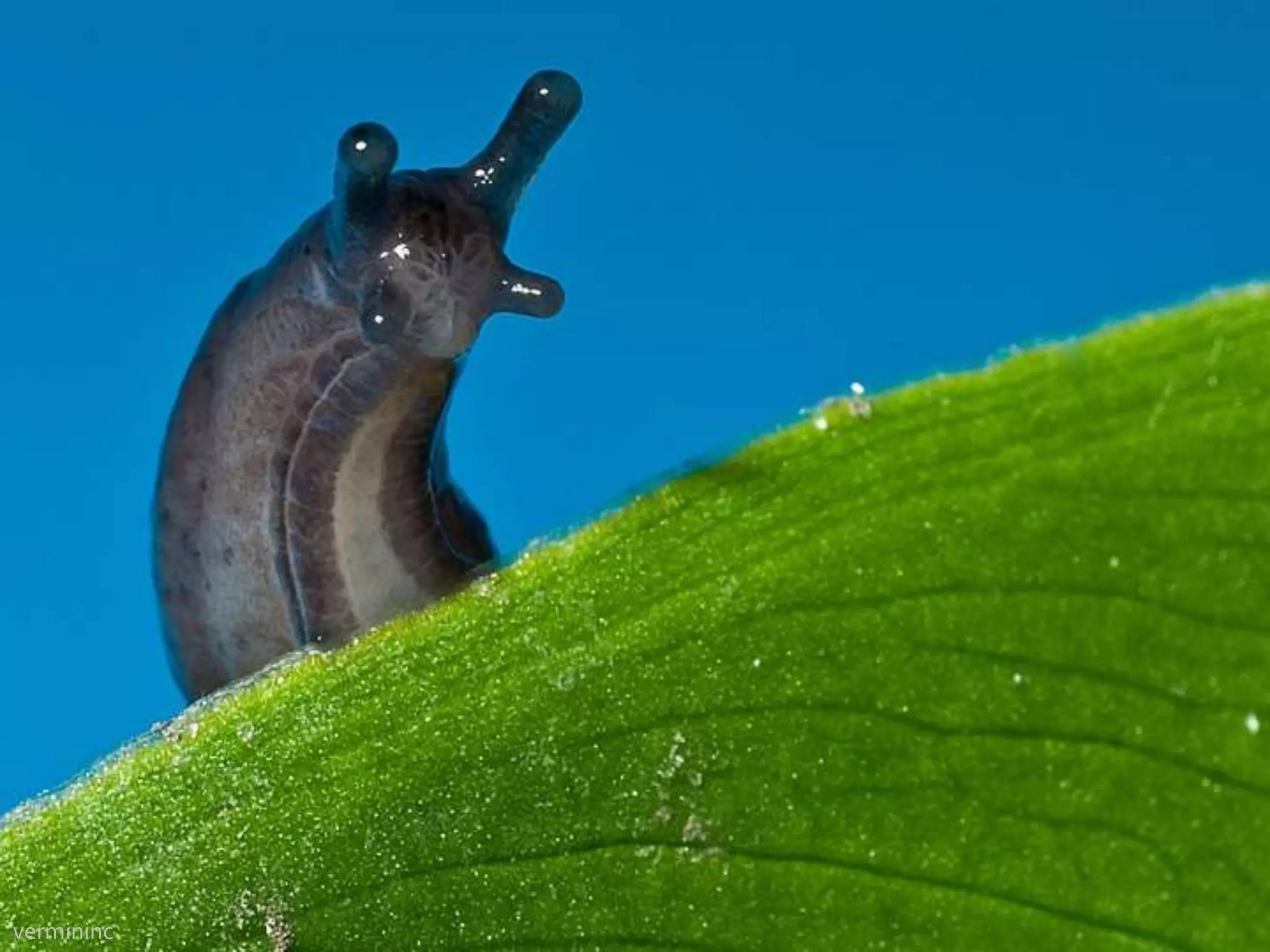 You people should talk.