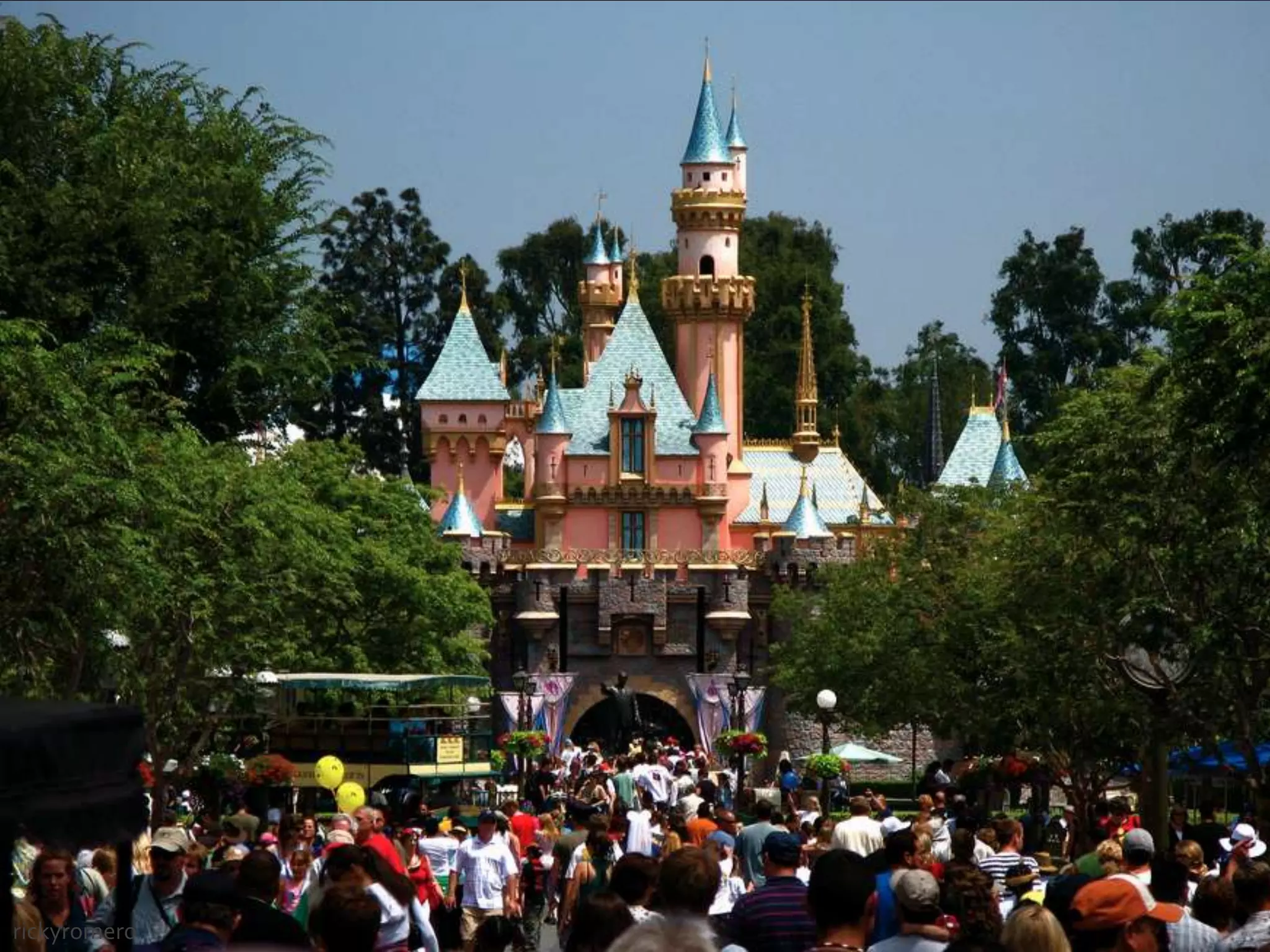 Water buffalo.What’s going on up ahead?almostinfamous