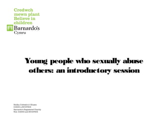 Young people who sexually abuse
others: an introductory session
 