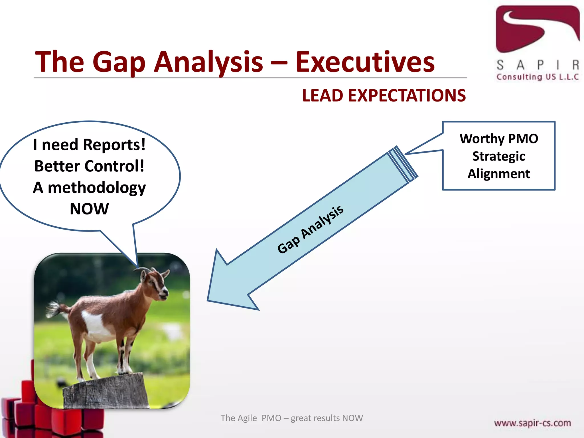 The Gap Analysis – Executives
Worthy PMO
Strategic
Alignment
I need Reports!
Better Control!
A methodology
NOW
LEAD EXPECTATIONS
The Agile PMO – great results NOW
 