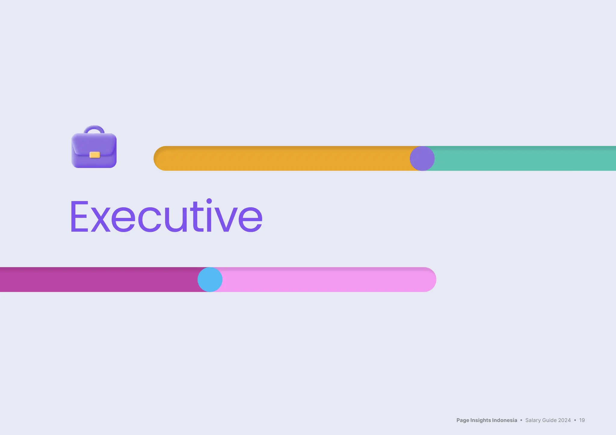 Page Insights Indonesia • Salary Guide 2024 • 19
Executive
 